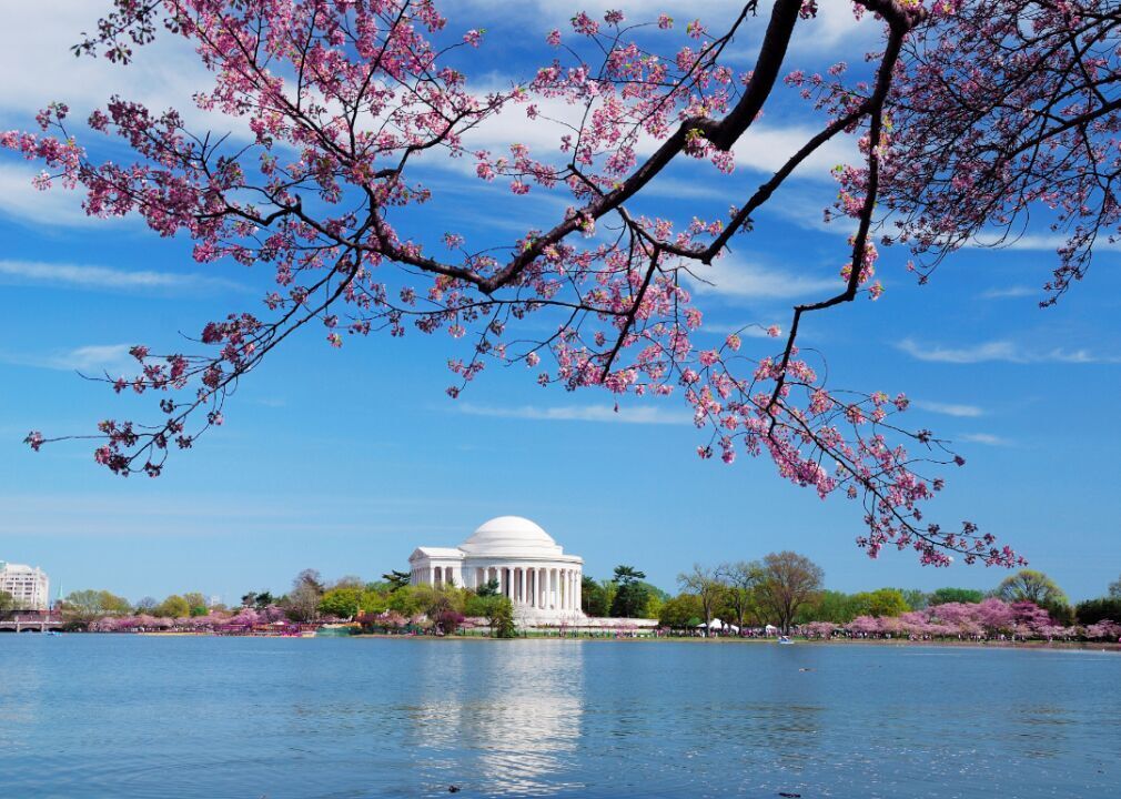 Washington D.C.